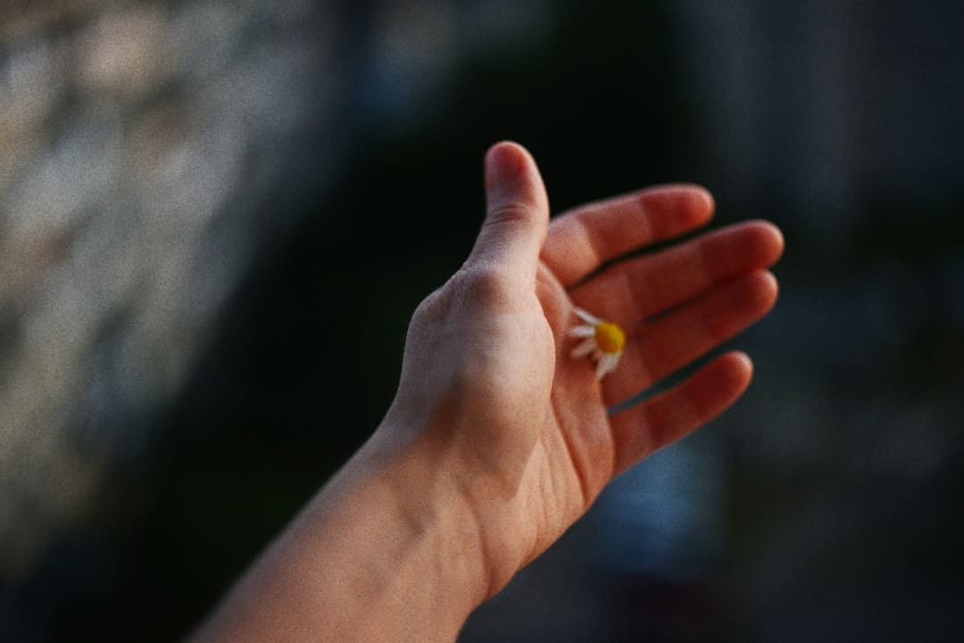 《生万物》：传统题材找到新切口